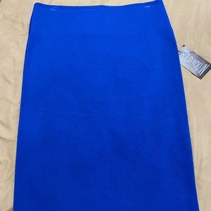 Royal Blu, Spandex Pencil Skirt, Small by Joyous